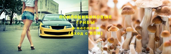 дмт Балахна