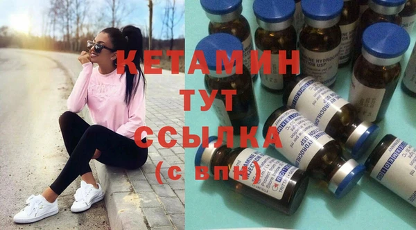 индика Елабуга