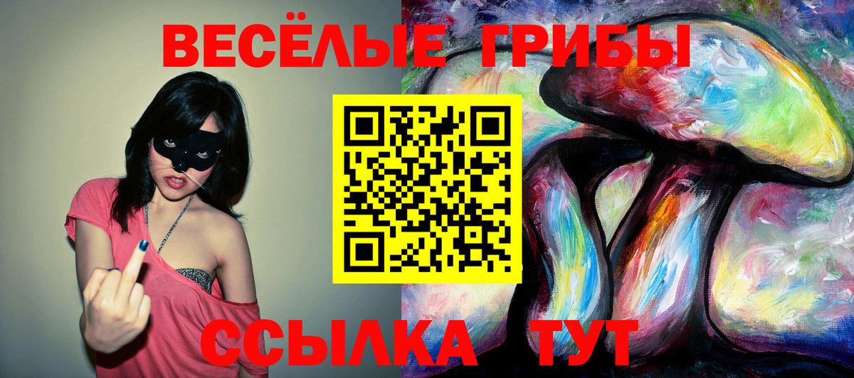 Псилоцибиновые грибы ЛСД  Вход с VPN  Петровск 