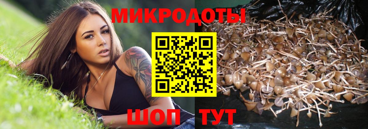 Галлюциногенные грибы Magic Shrooms Петровск